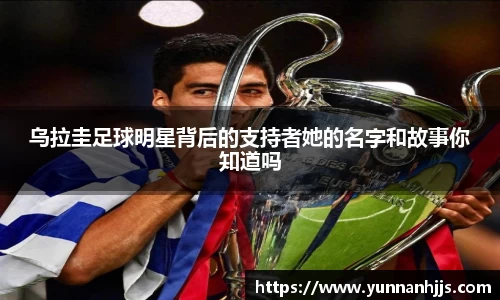 必一运动bsports体育