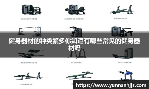 健身器材的种类繁多你知道有哪些常见的健身器材吗